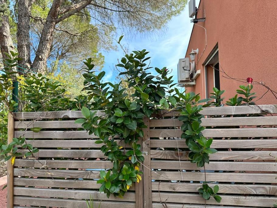 Moderne Mini Maison Lézignan-Corbières Екстериор снимка